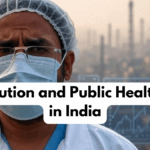 Air Pollution and Public Health Costs in India