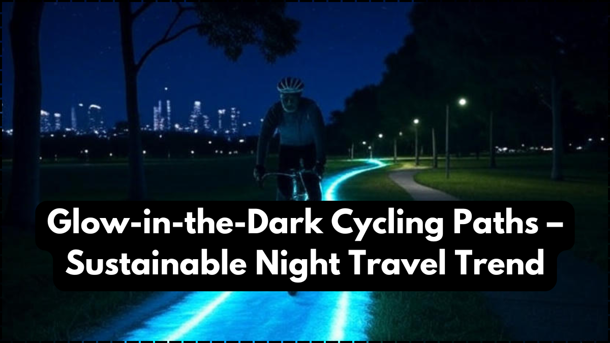Glow-in-the-Dark Cycling Paths – Sustainable Night Travel Trend