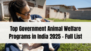 Top Government Animal Welfare Programs in India 2025 – Full List & Details