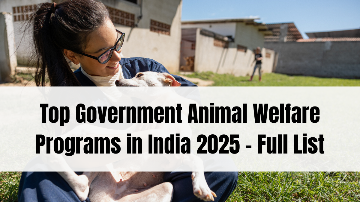 Top Government Animal Welfare Programs in India 2025 – Full List & Details