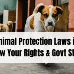 Street Animal Protection Laws in India – Know Your Rights & Govt Steps