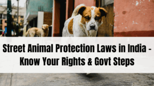 Street Animal Protection Laws in India – Know Your Rights & Govt Steps