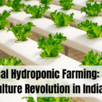 Vertical Hydroponic Gardening Setup for Indian Apartments – What’s New in 2025