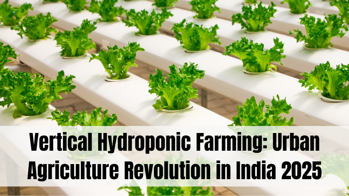 Vertical Hydroponic Gardening Setup for Indian Apartments – What’s New in 2025