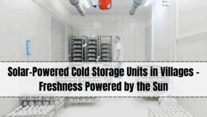 Solar-Powered Cold Storage Units in Villages – Freshness Powered by the Sun