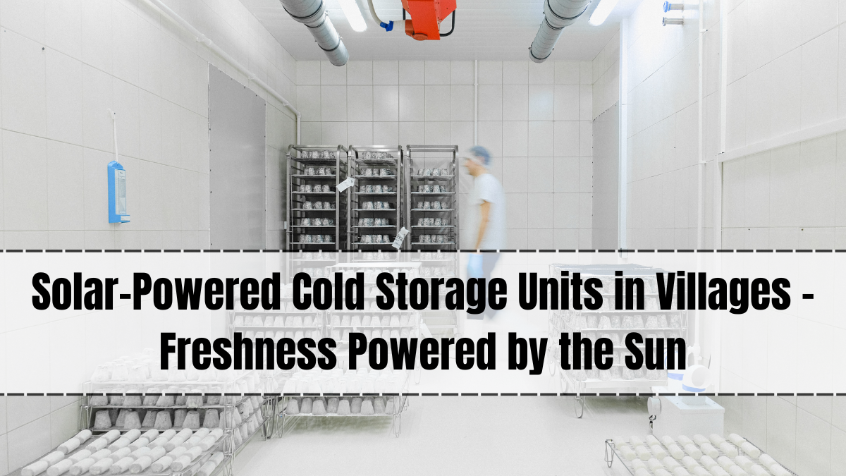 Solar-Powered Cold Storage Units in Villages – Freshness Powered by the Sun