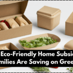 ₹50,000 Eco-Friendly Home Subsidy 2025: How Families Are Saving on Green Living